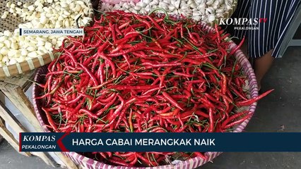 Harga Cabai Terus Merangkak Naik