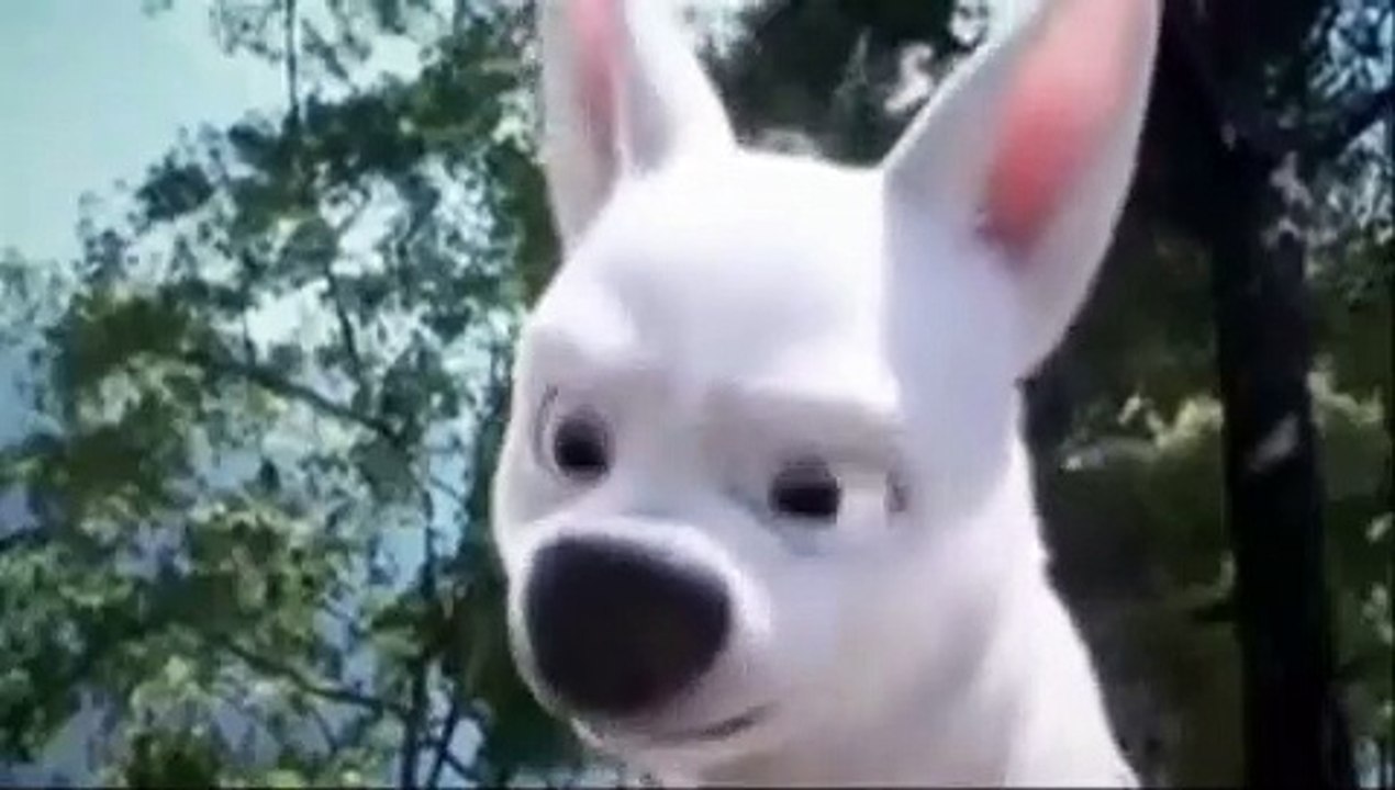 Bolt Salchichon
