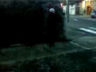 ZIGAI JUMPING  JEL JUMPER