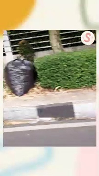 Kotor! Sisi Jalan Setiabudi Bandung penuh Daun