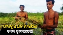 Ganjam Collector Makes Ground Zero Assesment Of Crops Damaged By Cyclonic Rain