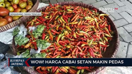 Wow! Harga Cabai Setan Makin Pedas