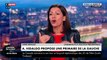 Présidentielle - Le naufrage d'Anne Hidalgo : Après sa proposition de primaire à gauche... Ecolos, Insoumis, Verts et François Hollande lui disent... 
