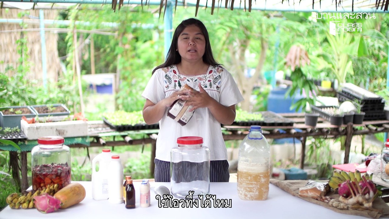 ผักนอกปลูกง่าย ทำได้ทุกฤดู EP.2