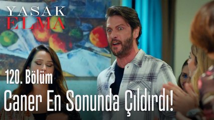 Caner en sonunda çıldırdı! - Yasak Elma 120. Bölüm