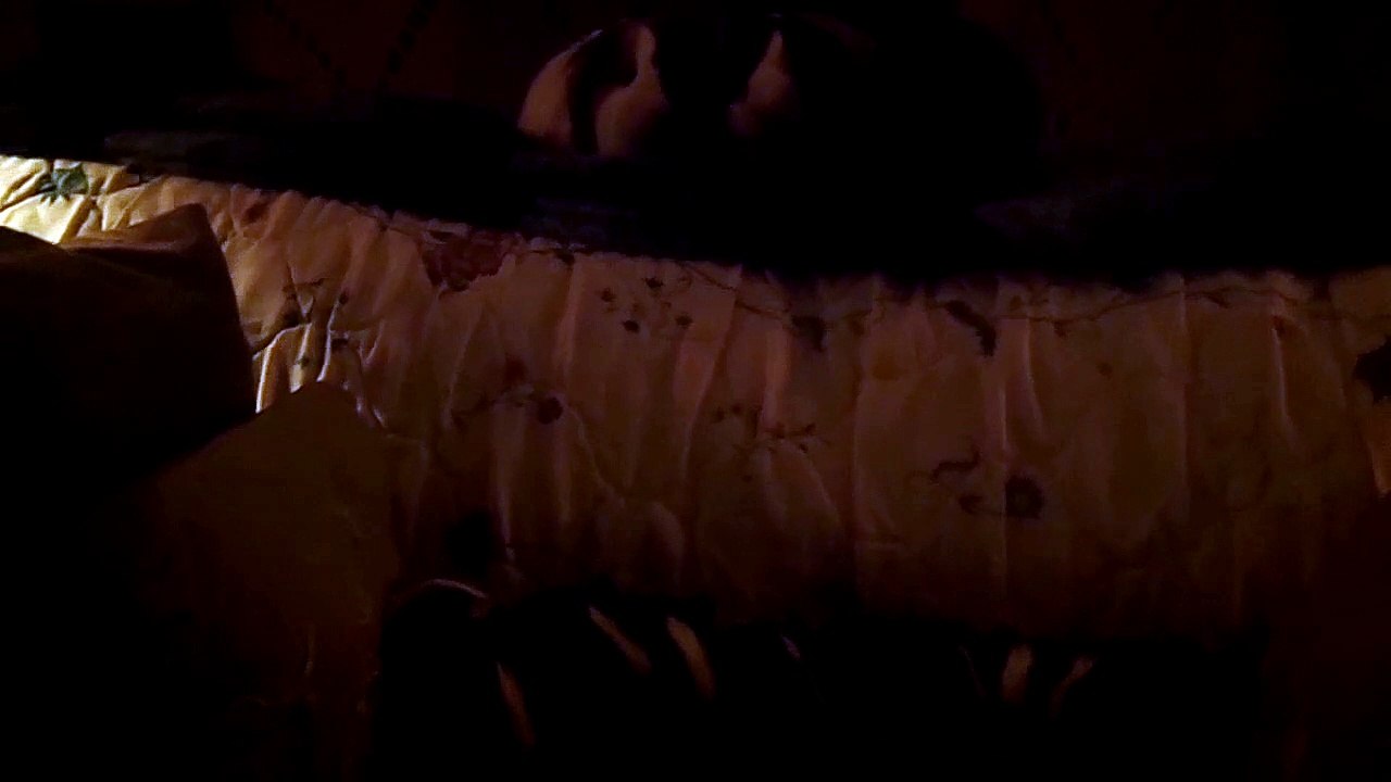 CAVIA PORCELLUS TURMERIC PARSLEY PIXIE DAVID CJ DAVID RJ DAVID MARY TRIXIE DAVID CLOVER IRIS 102_7121