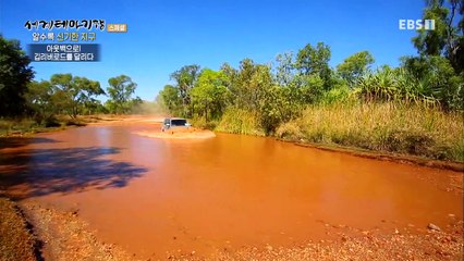 세계테마기행 - 알수록 신기한 지구- 물 만난 라임스톤_#001