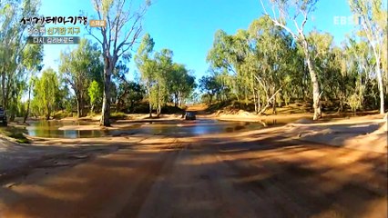 세계테마기행 - 알수록 신기한 지구- 물 만난 라임스톤_#002