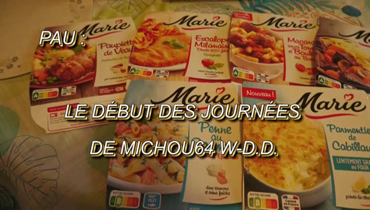 LES W-D.D. MICHOU64 NEWS - 8 DÉCEMBRE 2021 - PAU - LE DÉBUT DES JOURNÉES DE MICHOU64 W-D.D.