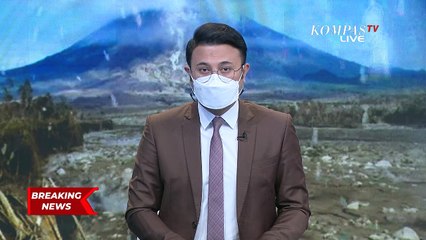 Momen Haru Evakuasi Hewan Korban Bencana Semeru, Ada Bebek Terjebak Lumpur Beku