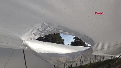 ŞİDDETLİ RÜZGAR MANAVGAT'TA SERA YIKTI