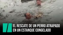 Dos guardias civiles rescatan a un perro atrapado en un estanque congelado en Huesca