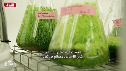 ...غير عادية يود طب استغلالها . اذا الطحالب...