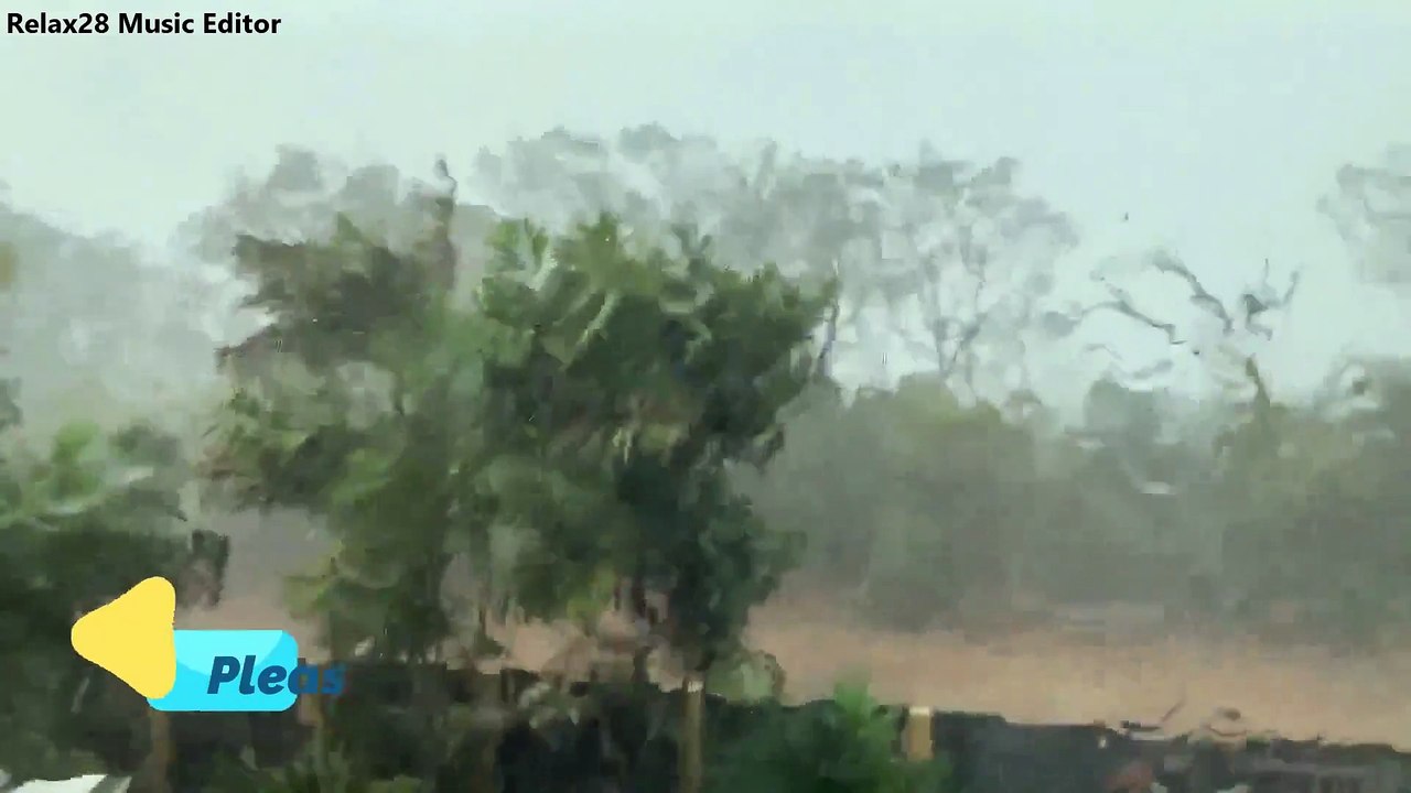 Sleep Instantly Within 3 Minutes with Heavy Rain & Thunder on in Forest