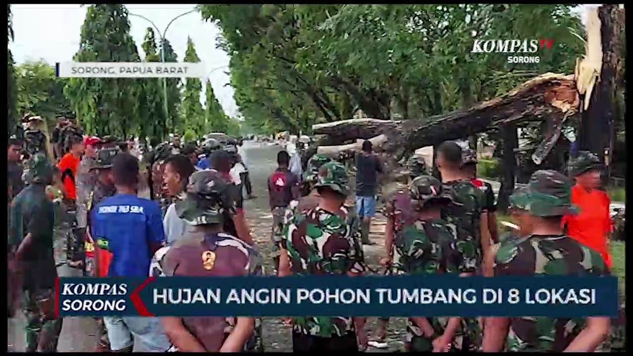 Akibat Cuaca Buruk Di Sorong Pohon Tumbang Pada...