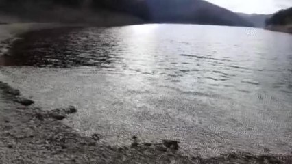 Son dakika haber! Sünnet Gölü'nde balık ölümlerine inceleme başlatıldı