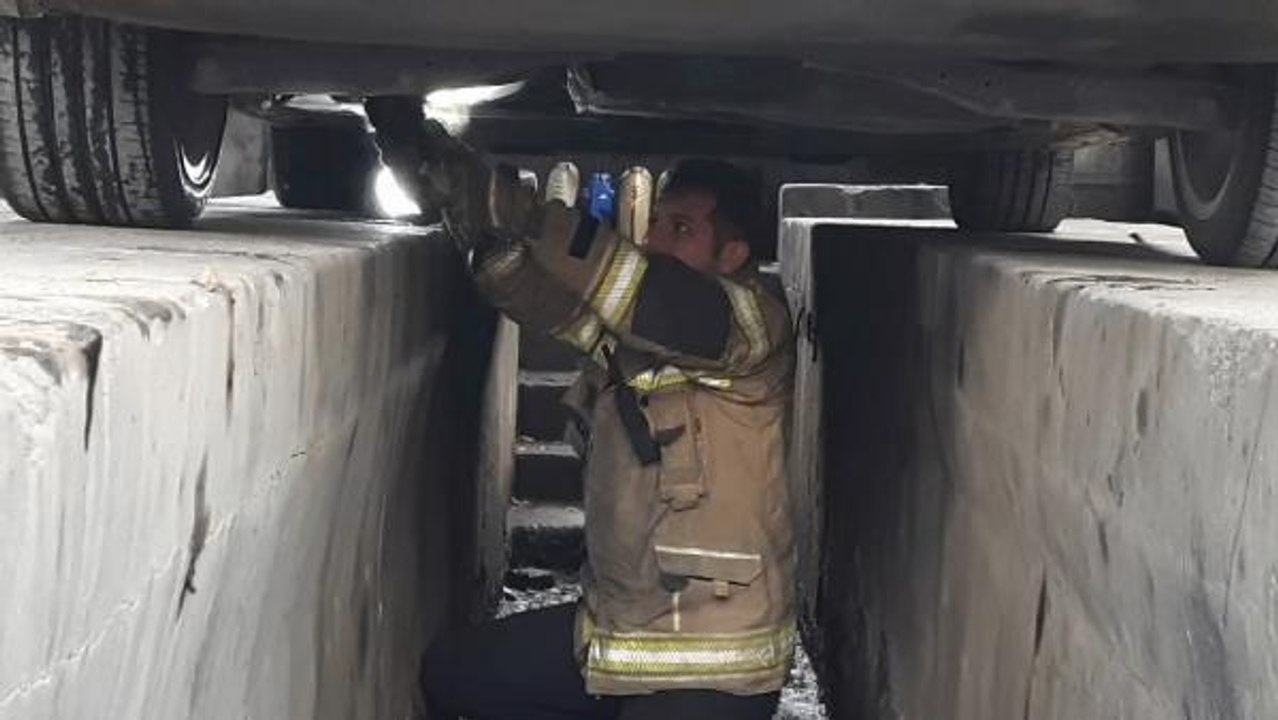 Son dakika haberi: OTOMOBİLİN MOTOR BÖLÜMÜNE GİREN YAVRU KEDİYİ İTFAİYE ÇIKARDI