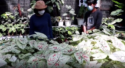 เรื่องพลบค่ำ ช่วงที่ 3 วันพฤหัสบดีที่ 9 ธ.ค.64