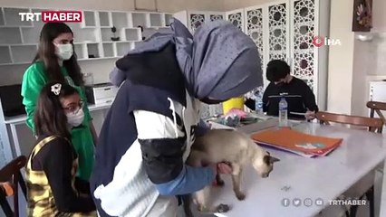 'Helva' okulun maskotu oldu