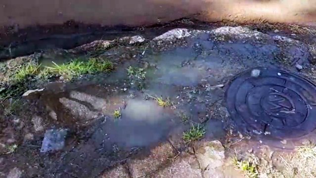 Moradores reclamam de esgoto que vasou na Rua da Bandeira