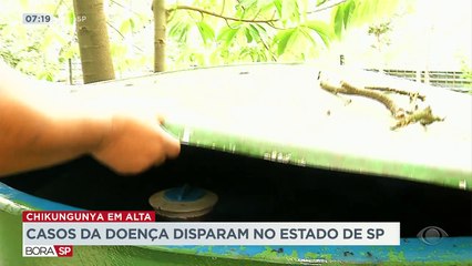 Os casos de chikungunya explodiram nesse ano no estado de São Paulo. Cuidados simples são necessários para evitar a doença, que pode ser perigosa.