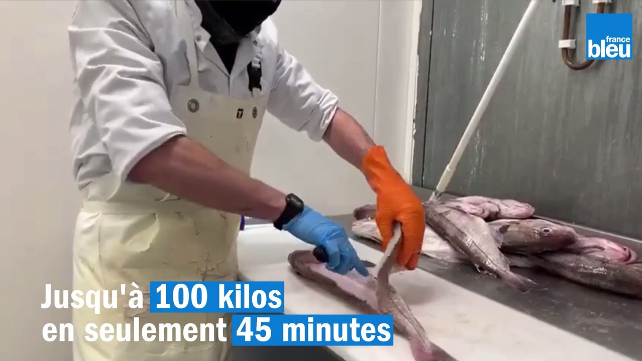 Découvrez le marché d'intérêt régional de Rennes à l'occasion de la matinale spéciale de France Bleu Armorique