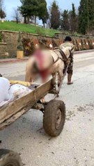 Yaralı haldeki at yük arabasını çekmekte zorlandı, vatandaşlar tepki gösterdi