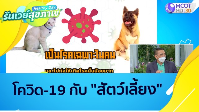(คลิปเต็ม) โควิด-19 กับ สัตว์เลี้ยง : Healthy Day รันเวย์สุขภาพ (9 ธ.ค. 64)