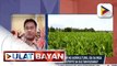 Duterte Legacy: Tuluy-tuloy na suporta sa sektor ng agrikultura, isa sa mga pamana ng Administrasyong Duterte sa Sultan Kudarat