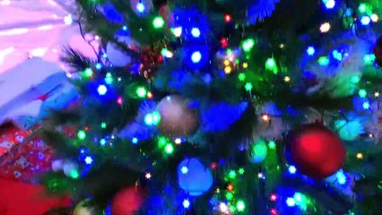 Olbia. Al via gli eventi. Babbo Natale apre il suo igloo