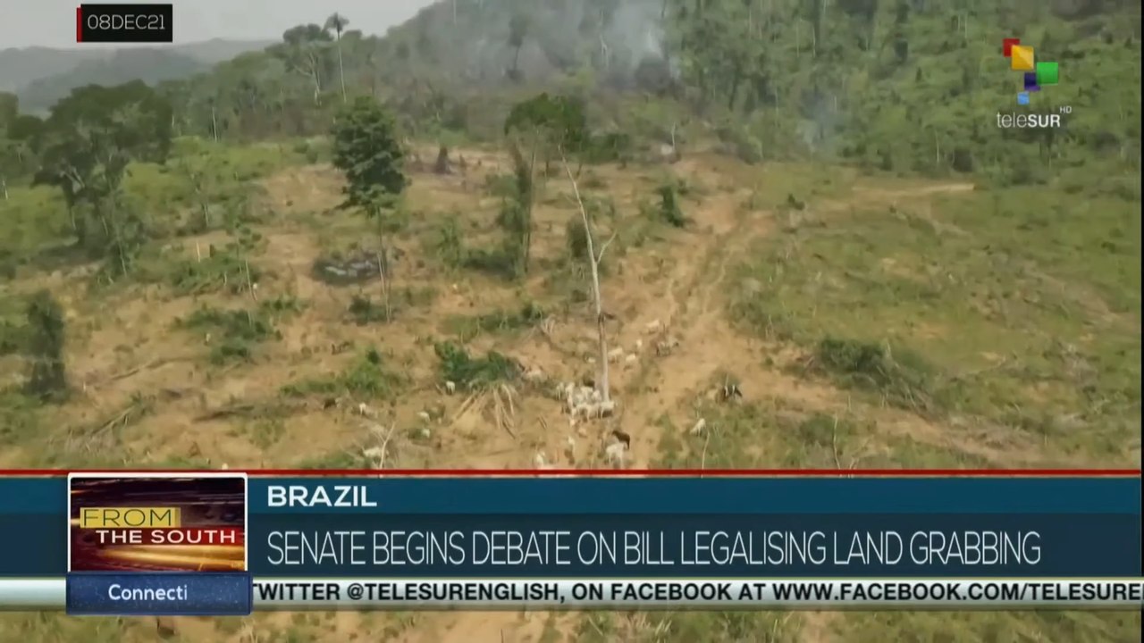 Brazil: Senate have started  debates on legalize land grabbing