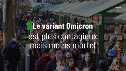 Le variant Omicron est plus contagieux mais moins mortel