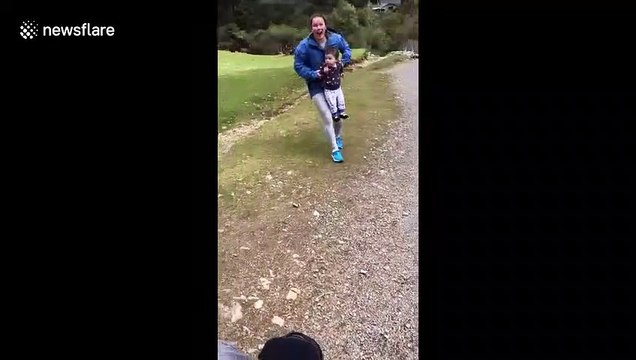 Elle sauve son fils d'un bélier en colère... réflexe incroyable de maman