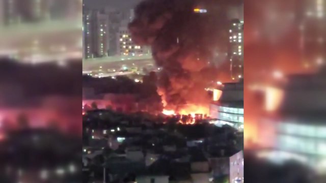 과천 화훼 단지 비닐하우스에서 불...40분 만에 진화 / YTN