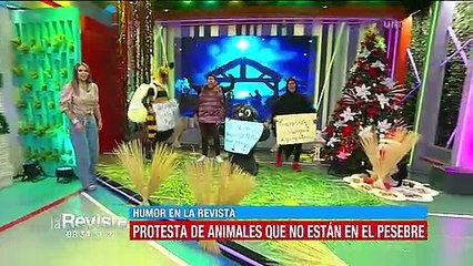 Humor: Grupo de animales pide ser tomado en cuenta para estar en los pesebres navideños