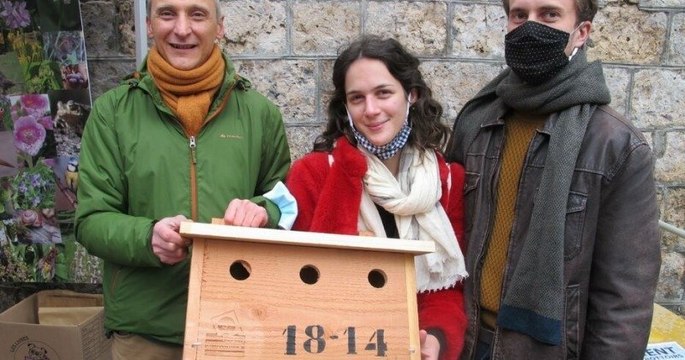 Des « quartiers moineaux » ont été créés à Paris, pour permettre aux oiseaux de repeupler la capitale