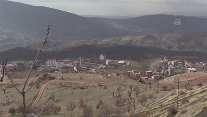 "Suni tohumlama" ile hayvan varlığı ve kalitesi artırılacak