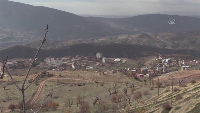Suni tohumlama ile hayvan varlığı ve kalitesi artırılacak