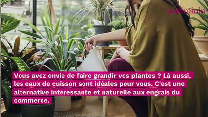 5 choses géniales à faire avec vos eaux de cuisson, et que vous ignoriez !