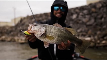 Pro Bass Fisherman shares weather strategy secrets