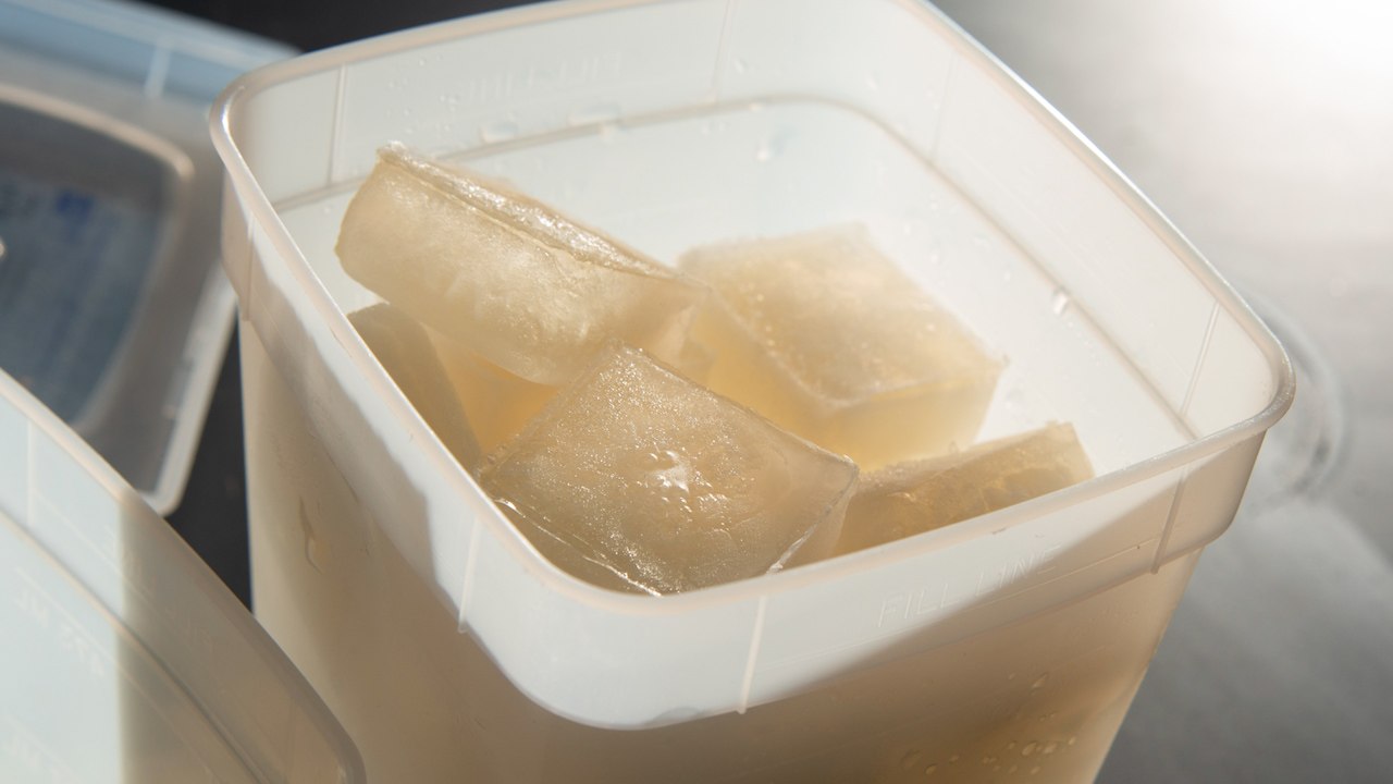 “Jelly” Ice Cubes Are Reusable And EcoFriendly video Dailymotion