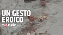 Spagna, poliziotti si tuffano nel lago ghiacciato per salvare un cane: il video del gesto eroico