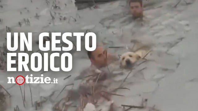 Spagna, poliziotti si tuffano nel lago ghiacciato per salvare un cane: il video del gesto eroico