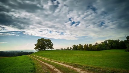 Time-Lapse- Beauty Of Nature - Drone View - Colors of Nature - Free HD Videos