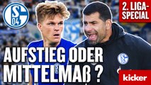 Sehnsucht Bundesliga: Kann Schalke einen Nichtaufstieg überhaupt verkraften?