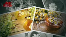 Healthy benefits of drinking chamomile tea