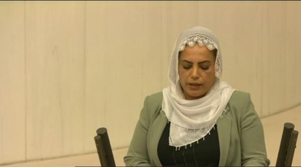 Bütçe görüşmelerinde renkli görüntüler! HDP'li vekil kürsüye iğne oyası ile işlenmiş tülbentle çıktı