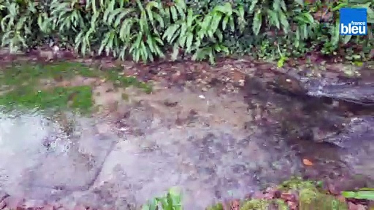 Au fil de l'eau - Champagne et Fontaine