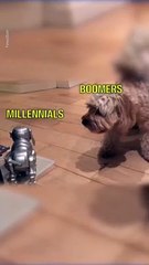 Perro real vs perro robot