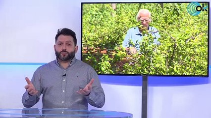 Money Talks | España recibe bofetadas por las pensiones y el Gobierno tocando la lira